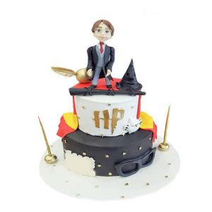 Harry Potter Doğum Günü Pastası