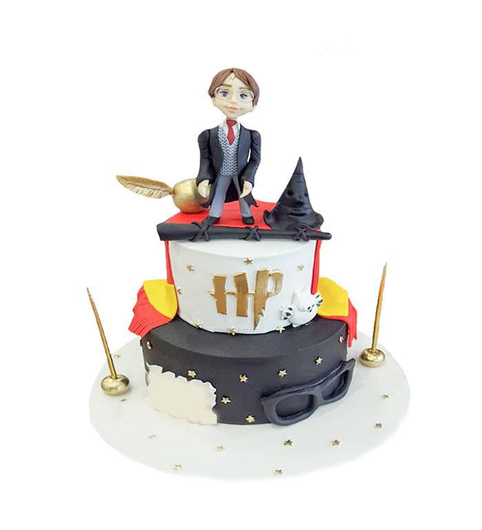 Harry Potter Doğum Günü Pastası