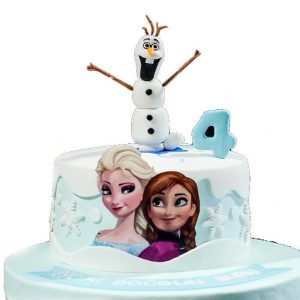Elsa Doğum Günü Pasta